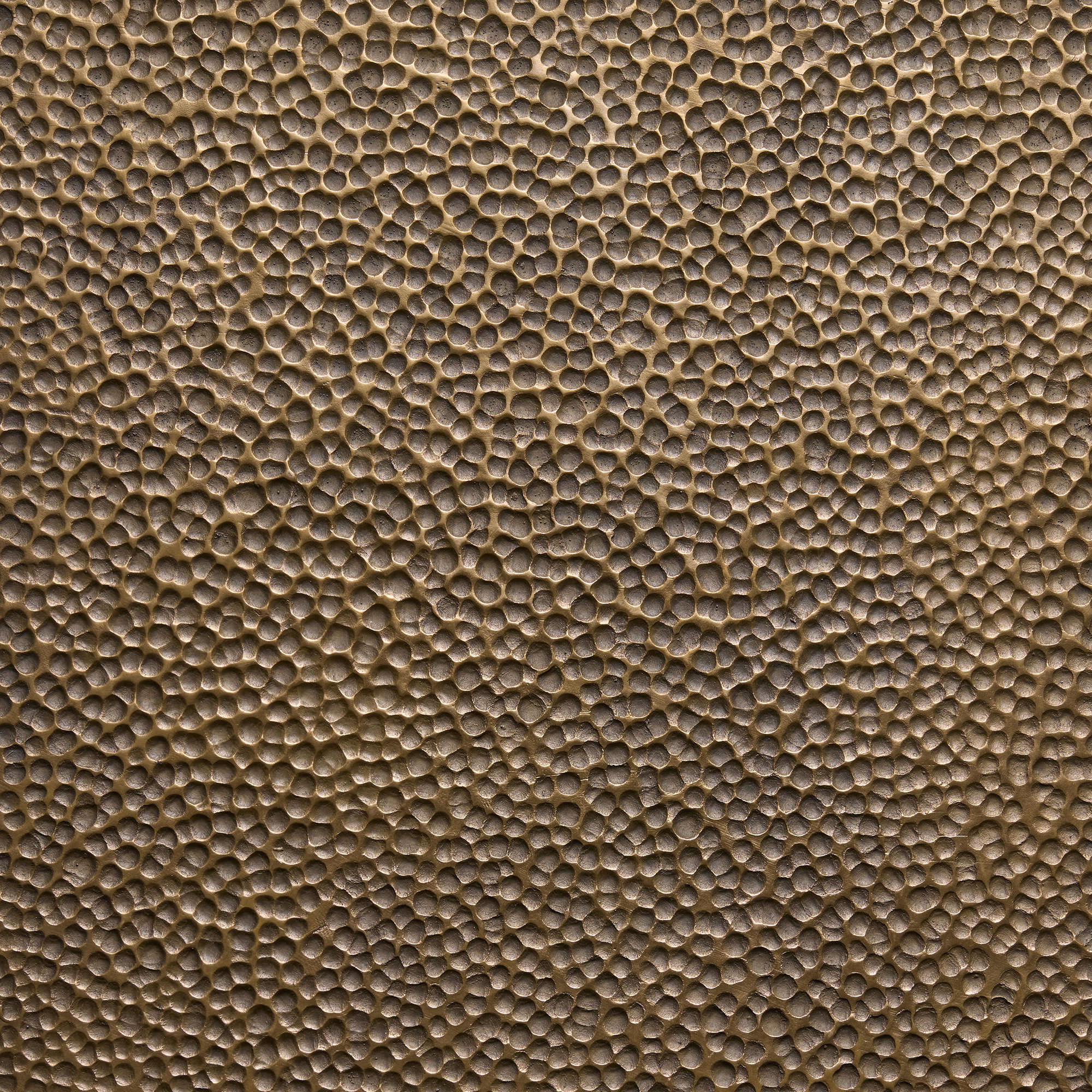 bronze porifera